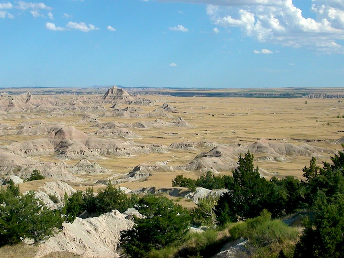 2006 Yellowstone Roadtrip